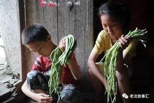 姐弟吃瓜事件视频,揭秘网络热议背后的真相