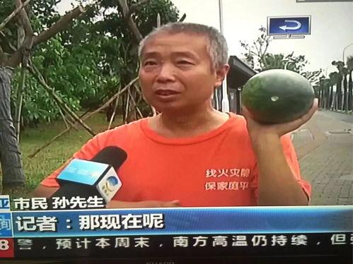 热门事件吃瓜群众视频,吃瓜群众视角下的视频风云录