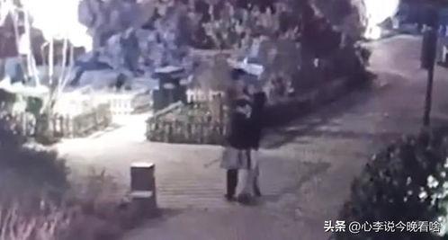 十堰吃瓜事件真相视频完整版,揭秘真相背后的惊人内幕