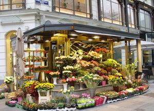 唐山花店吃瓜群众视频曝光,吃瓜群众视频曝光，真相究竟如何？