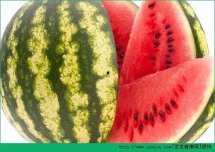 西瓜视频每日聪慧吃瓜,西瓜视频带你领略智慧与趣味并存的生活瞬间