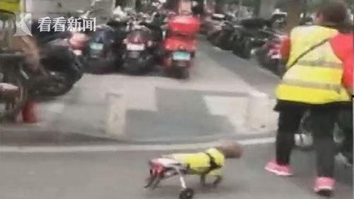 吃瓜狗车祸视频大全集最新