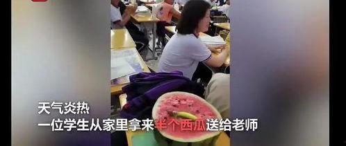 南阳教师吃瓜事件视频