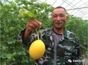 桃树村吃瓜群众视频,揭秘乡村生活趣味瞬间