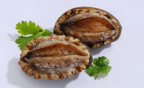 吃瓜视频黑鲍鱼,奢华美食背后的真相