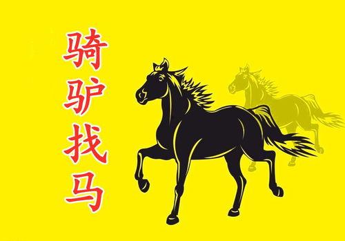 吃瓜群众骑驴找马视频大全,揭秘热门视频背后的趣味人生