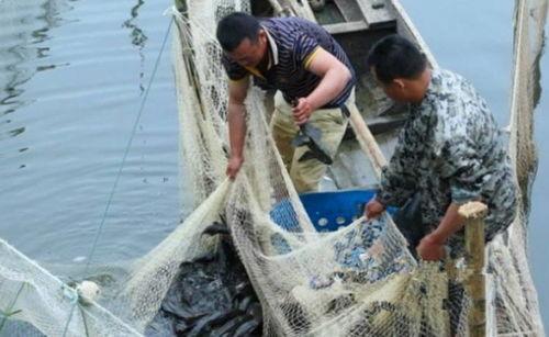 军演渔民吃瓜视频播放,视频播放引发网友热议