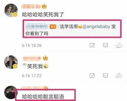 艺人吃瓜王思聪视频播放