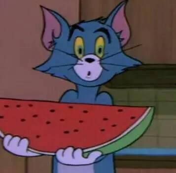 贴脸吃瓜沙雕动画视频,沙雕动画视频带你笑翻全场